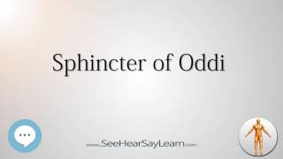 Sphincter of Oddi Anatomy Named After People 🔊 [upl. by Abbey205]