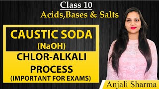 chlor alkali processCaustic Sodaacid base and saltsClass10CBSENCERT [upl. by Corydon643]