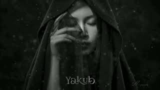 Hossein ParsaDelbar Maghror  remix  YAKUB [upl. by Nylassej994]