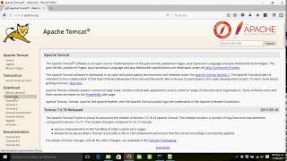 Como instalar Tomcat 9 en Windows 10 [upl. by Loredana]