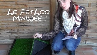 TEST Le PetLoo [upl. by Maura]