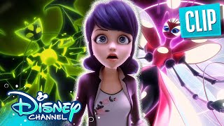 Monarch Makes His Wish 💫  Season 5 Finale  Miraculous Ladybug  disneychannel x Miraculous [upl. by Reggy378]