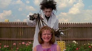 Edward Scissorhands  Movies Explained in Hindi  Movies Explanation Channel [upl. by Yrrem]