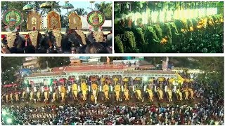 Catch a glimpse of Cherai Pooram  Pooram Festivals of Kerala [upl. by Ardnalahs]