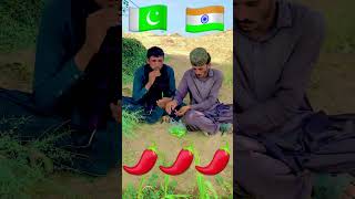 Pakistan and India hari mirch kha rahe hain ladke ameenofficialvillagelife 20240908 New video [upl. by Quenna]