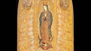 Alegría risa ¡ha 1718 ROQUE JACINTO DE CHAVARRÍA quotSalvequot a la Virgen de Guadalupe [upl. by O'Gowan]