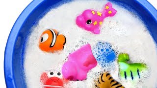 Learn Wild Animals For Kids  Swimming In Water [upl. by Nosinned]