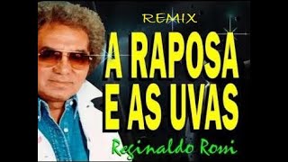 Reginaldo Rossi  A Raposa e as Uvas Dance Remix [upl. by Korey]