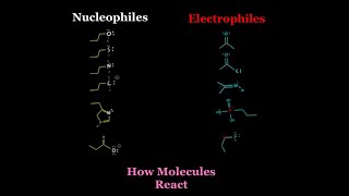 How to Analyze Nucleophiles amp Electrophiles to Predict EVERY ORGANIC CHEMISTRY REACTION MCAT OCHEM [upl. by Ecirtac]