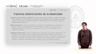 Microeconomía I  La elasticidad de la oferta y de la demanda 3  Alfonso Rosa García [upl. by Cayser]