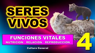 4Ev🐛Funciones vitales de los seres vivos4 🦅Examen y Repaso🐝TvColegio💯Por YouTube [upl. by Lleznol]