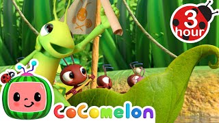 Ants Sing Row Row Row Your Boat  Cocomelon  Nursery Rhymes  Fun Cartoons For Kids  Moonbug Kids [upl. by Mcconaghy298]