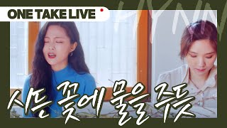 LIVE HYNN박혜원  시든 꽃에 물을 주듯 The Lonely Bloom Stands Alone One Take Live ver [upl. by Wright]