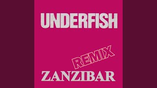 Zanzibar Radio Remix [upl. by Nagard]