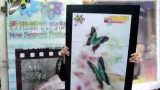 Lenticular butterfly animated display using LenBB tiles [upl. by Einnep238]