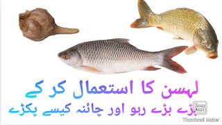 Lehsan ka Pani banany ka tarikaRaho and Gulfam Special  Hazara Fishing [upl. by Nosyt]