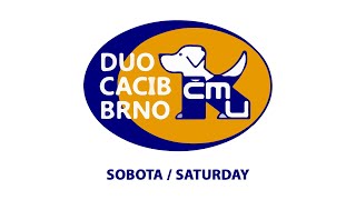 DUO CACIB BRNO 2024  Saturday [upl. by Amle344]