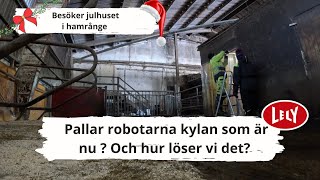 Hur funkar det med robotar i kall lösdrift vid 20 minus grader  Vi besöker julhuset i hamrånge [upl. by Ellenuahs]