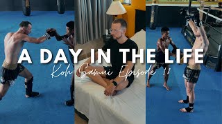 A Day in the Life Working Hard amp Training Muay Thai in Thailand 1841000 [upl. by Japeth]