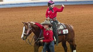 2016 World Para Reining International Team Competition [upl. by Mellie]