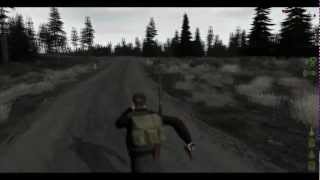 DayZ  NVIDIA GeForce GTS 450 1GB KFA 2 OverClocked Series [upl. by Umeko711]