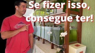 CRIAÇÃO DE PEIXES EM CASA Como é uma pscicultura de LEBISTES de Linhagem GUPPYS MACAÉ Bruno Terra [upl. by Irab]