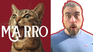 MARRO Cat Food Review  The Truth Revealed [upl. by Ynna]