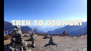 TREK TO DZONGRI [upl. by Aneev]