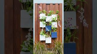 Garden Plants Decoration Ideas [upl. by Cherian]