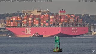 Ocean Network Express That’s ONE big pink ship [upl. by Nonnahc]