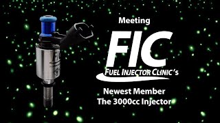 Fuel Injector Clinics 3000cc Injector [upl. by Ecinehs]