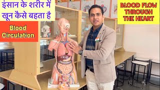 Full VideoHeart amp Blood Circulation  शरीर में खून कैसे कहाँ बहता है  Blood Flow Through The Heart [upl. by Olag413]