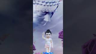 Celebrate Buddha s birthday 2024 🥳🥳🥳🙏 [upl. by Orozco178]