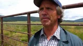 Veterinarian discusses highaltitude bovine disease [upl. by Bahr]