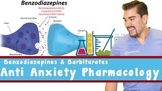 Anti Anxiety Pharmacology Benzodiazepines and Barbiturates [upl. by Todhunter]