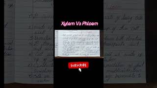 Notes Xylem Vs Phloem music hiphop [upl. by Milt]