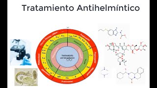 Tratamiento Antihelmíntico Antiparasitarios [upl. by Thordis137]