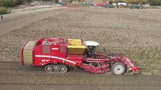 Grimme Varitron 470 Platinum of R J Wilson amp Son [upl. by Naomi]