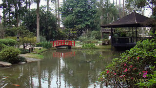 Jardins Proibidos  Paulo Gonzo amp Olavo Bilac [upl. by Mears564]