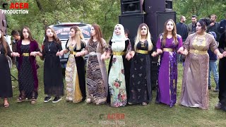 necmettin amp pakize düğünü kurdish wedding gunde mergehe [upl. by Sainana]