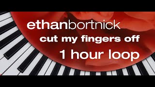 ethanbortnick cutmyfingersoff lyrics ETHAN BORTNICK CUT MY FINGERS OFF 1 hour loop [upl. by Lundt]