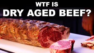 What is dry aged beef Since when is drier meat good [upl. by Darum]