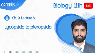 11th Biology Live Ch 9  Lycopsida to Pteropsida  11th Biology book 1 live [upl. by Yllrebmik]