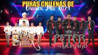 Grupo Señal De La Sierra ft Peter Jr Y Su Verano ll Chilenas De Oaxaca Mix 2024 [upl. by Mikkel180]