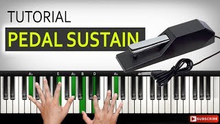 Belajar Pedal Sustain  Belajar Piano Keyboard [upl. by Naitsyrk]