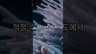 쿨리로취라는동물을아시나요 동물쿨리로취KuhliLoach로취담수어수족관 [upl. by Arret]