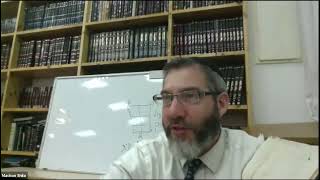 Intellectual Jews Natan Slifkin and the Failure to Apply Torah to State Issues [upl. by Aehtorod]