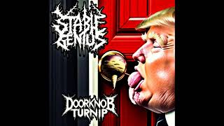 Stable Genius  Doorknob Turnip Full Album [upl. by Essie389]