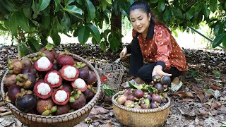 quot Mangosteen fruit quot Harvest mangosteen from grandmother backyard for cooking  Country chefs [upl. by Annatsirhc980]