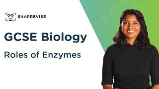 Roles of Enzymes  91 GCSE Science Biology  OCR AQA Edexcel [upl. by Woodford]